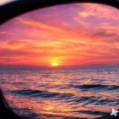 Cloudstory MirrorEdge VI — Oversized Cat-Eye Sunglasses