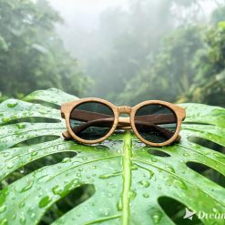 Cloudstory HighRider XXIII — Semi-Transparent Smoke Acrylic Sunglasses